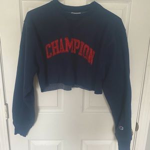 Champion Cropped Sweater Vintage